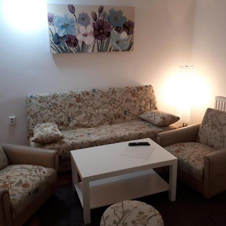 Apartman Ana Σλαβόνσκι Μπροντ Εξωτερικό φωτογραφία